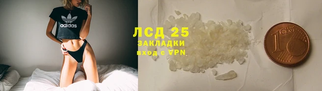 эйфоретик Алзамай
