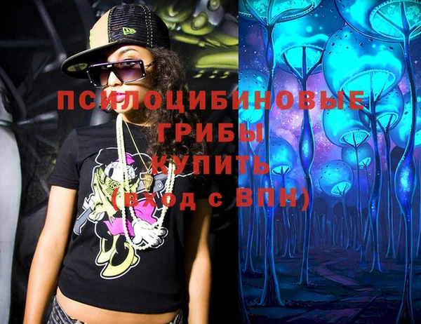 эйфоретик Алзамай