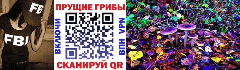 Галлюциногенные грибы Cubensis  Купить закладки  Заречный 